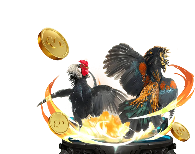 Trải nghiệm cá cược mượt mà